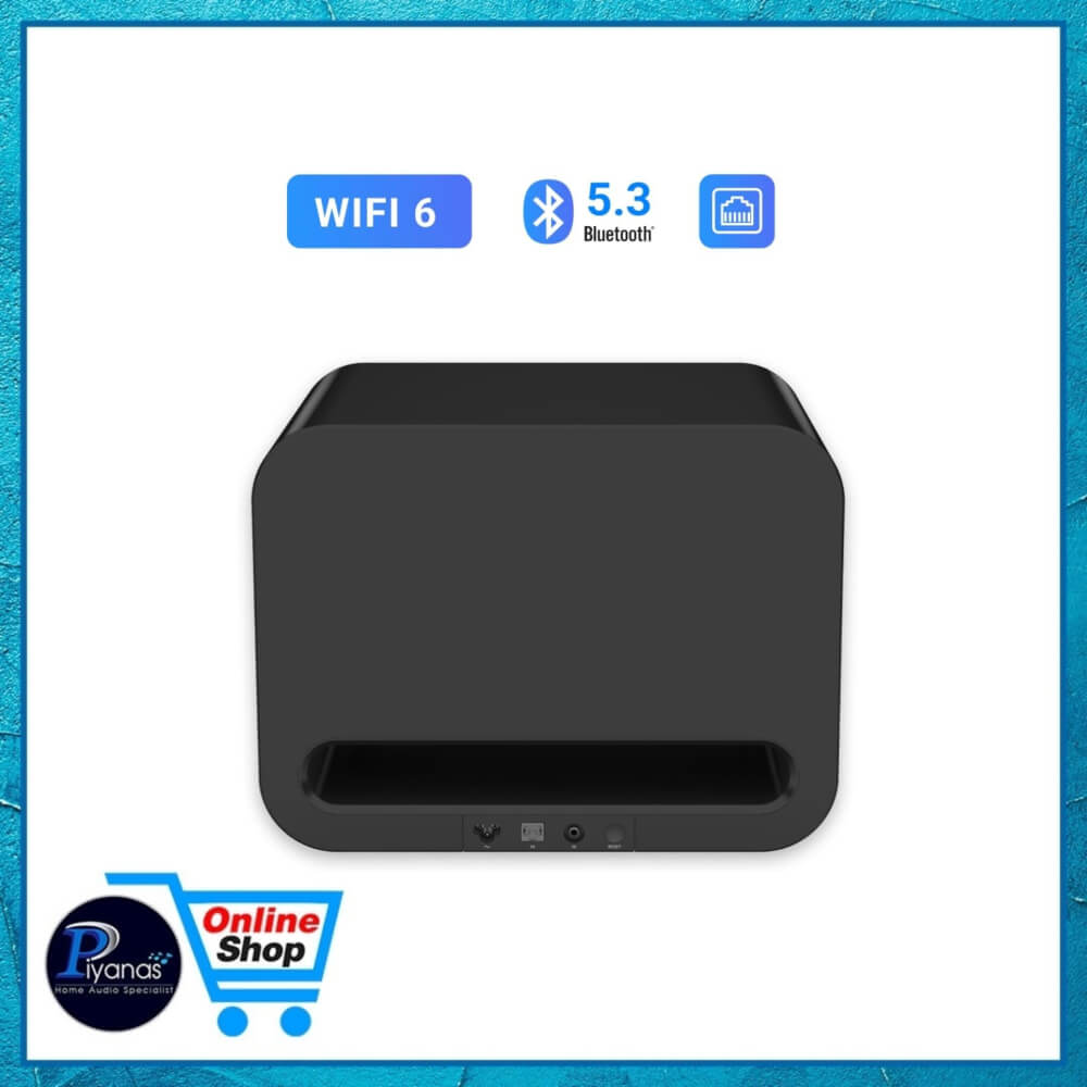 ซับวูฟเฟอร์ WIIM : SUB PRO (BLACK)
